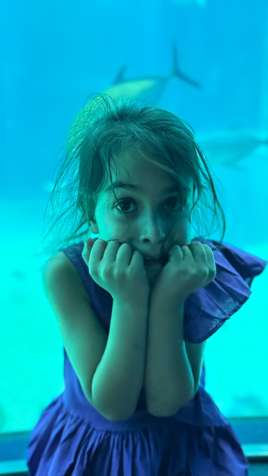 Shark tank with the kids in Osaka