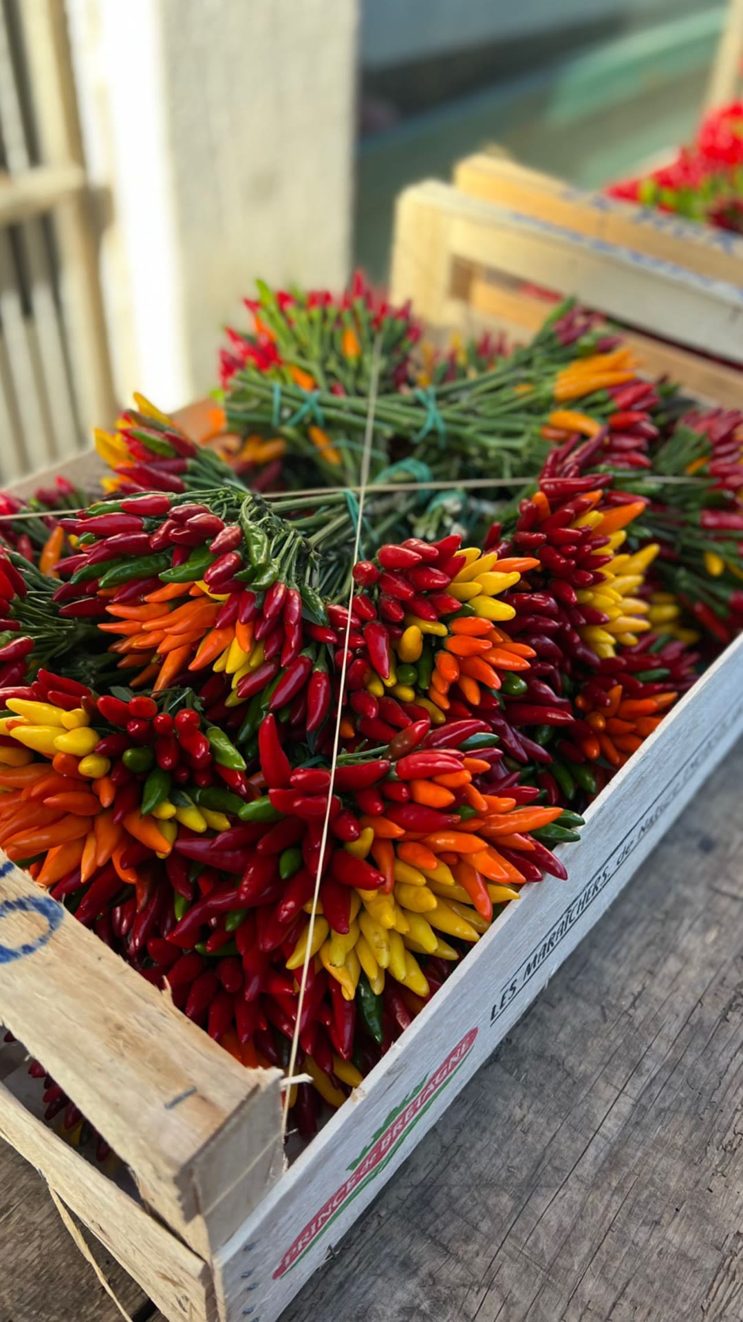 Chili peppers at a Venice market stall