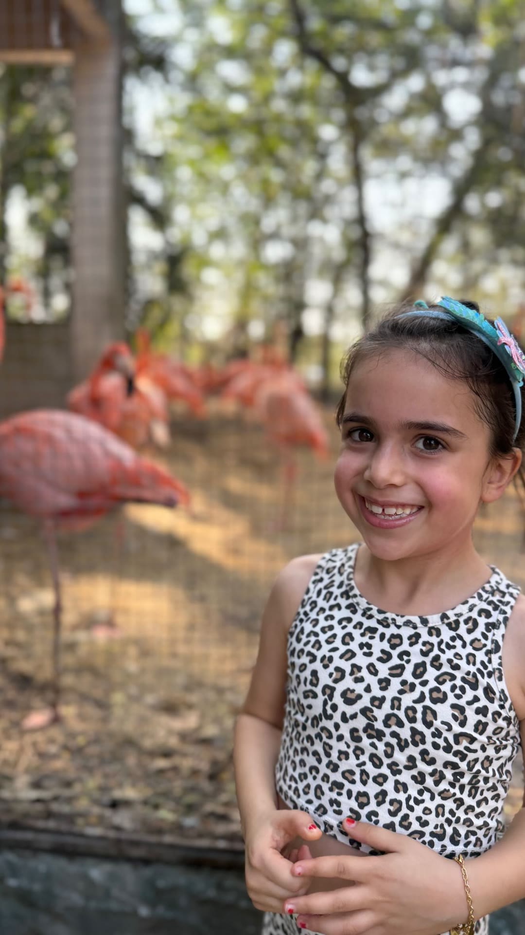 Flamingos at a Bangkok zoo