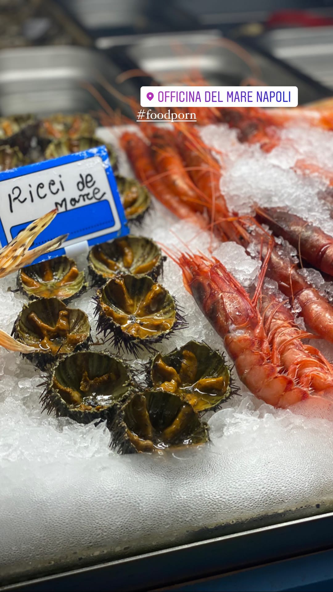 Sea urchins and red prawns at Officina del Mare, Naples