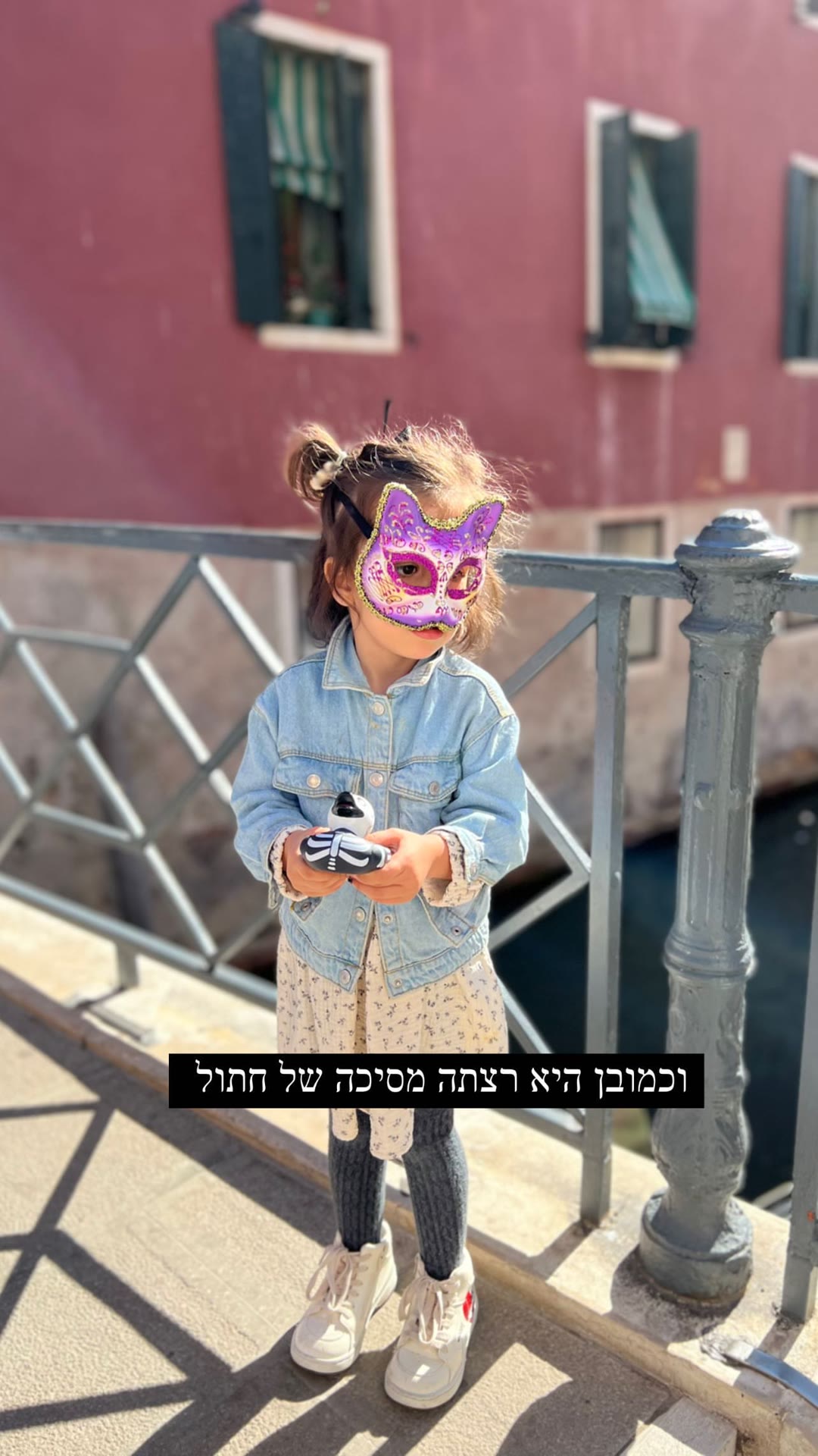 מסיכת חתול ונציאנית על גשר בוונציה