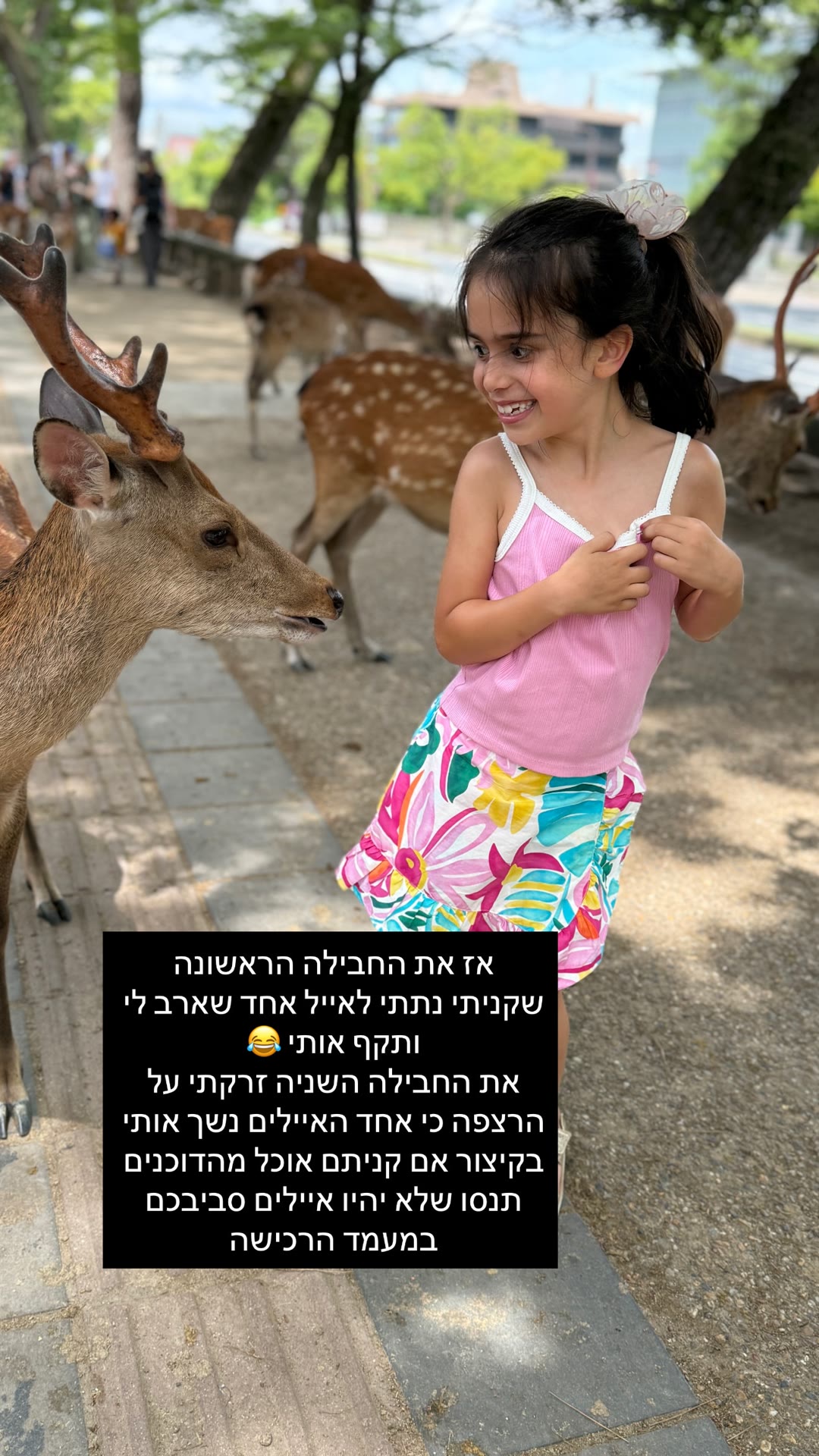 האיילים של נארה – טיפ לקניית הביסקוויטים