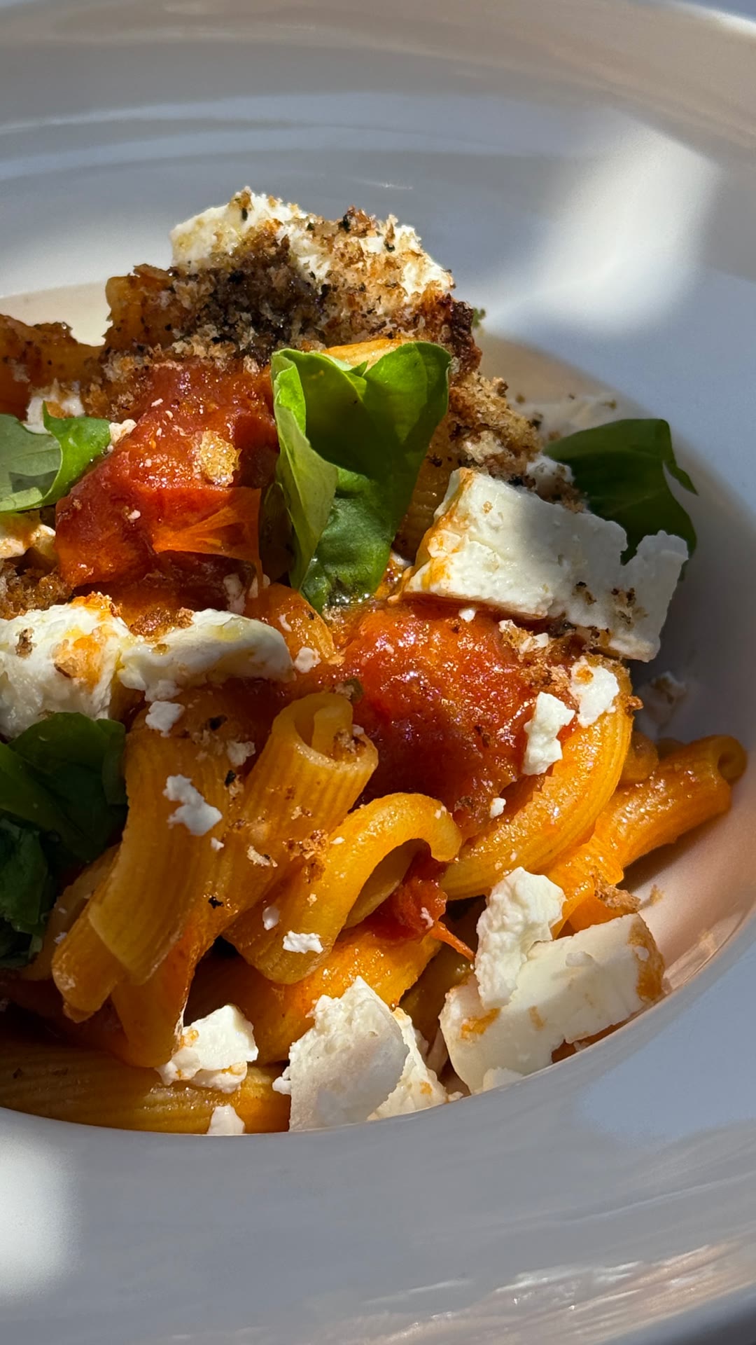 Pasta with tomato, basil and ricotta