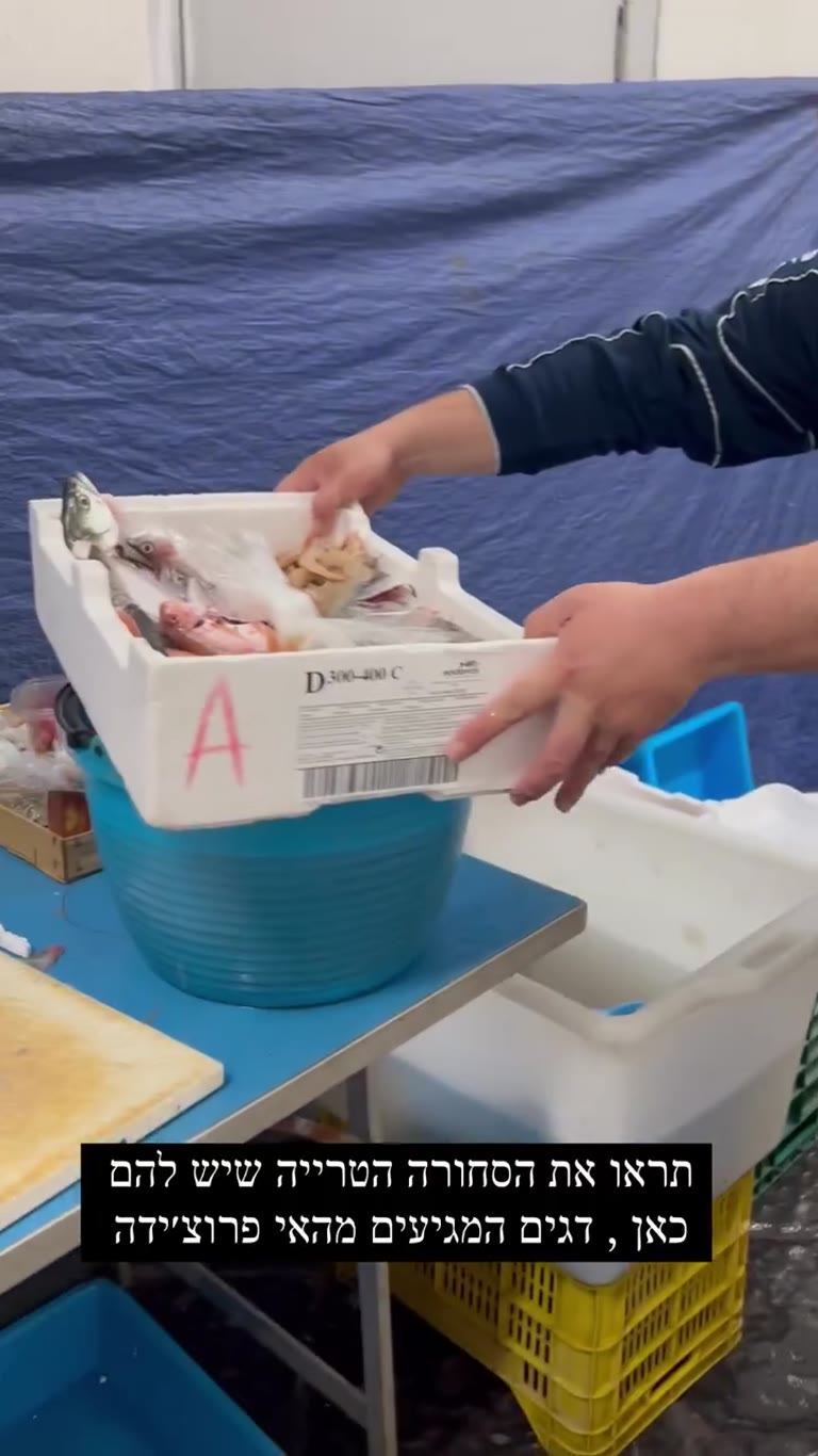 Fresh Procida fish at a Naples fish stall