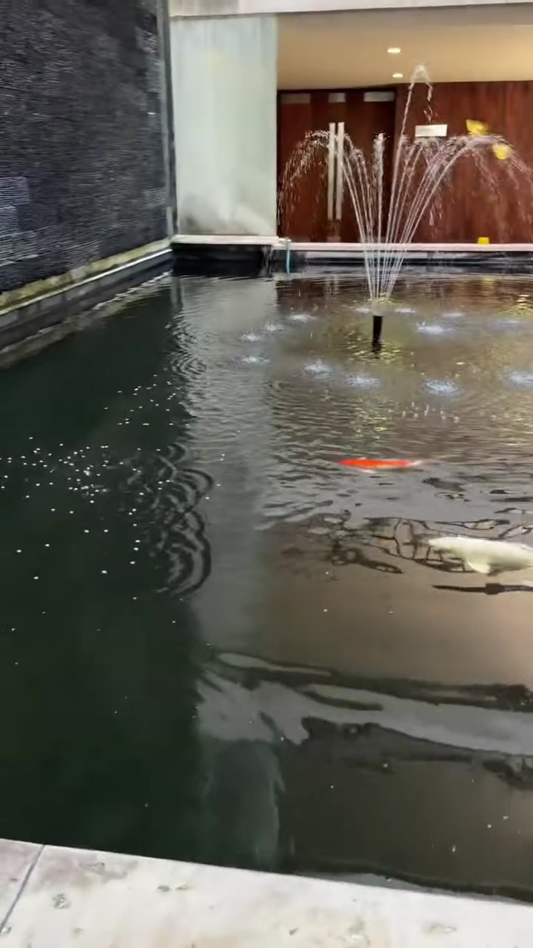 Koi pond at a Phuket hotel lobby