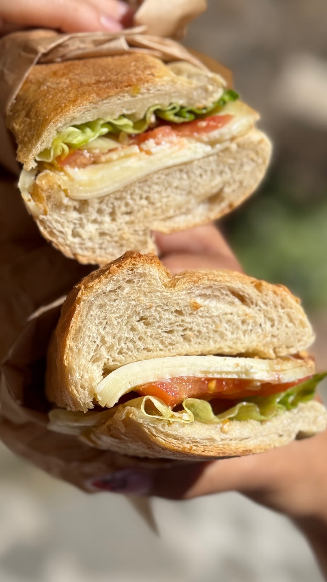 Mozzarella and tomato panini on a day trip from Rome