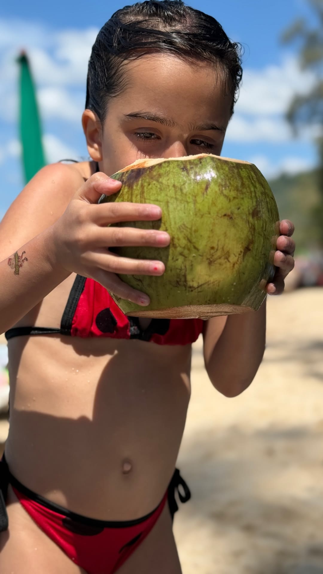 Fresh coconut on a Phuket beach