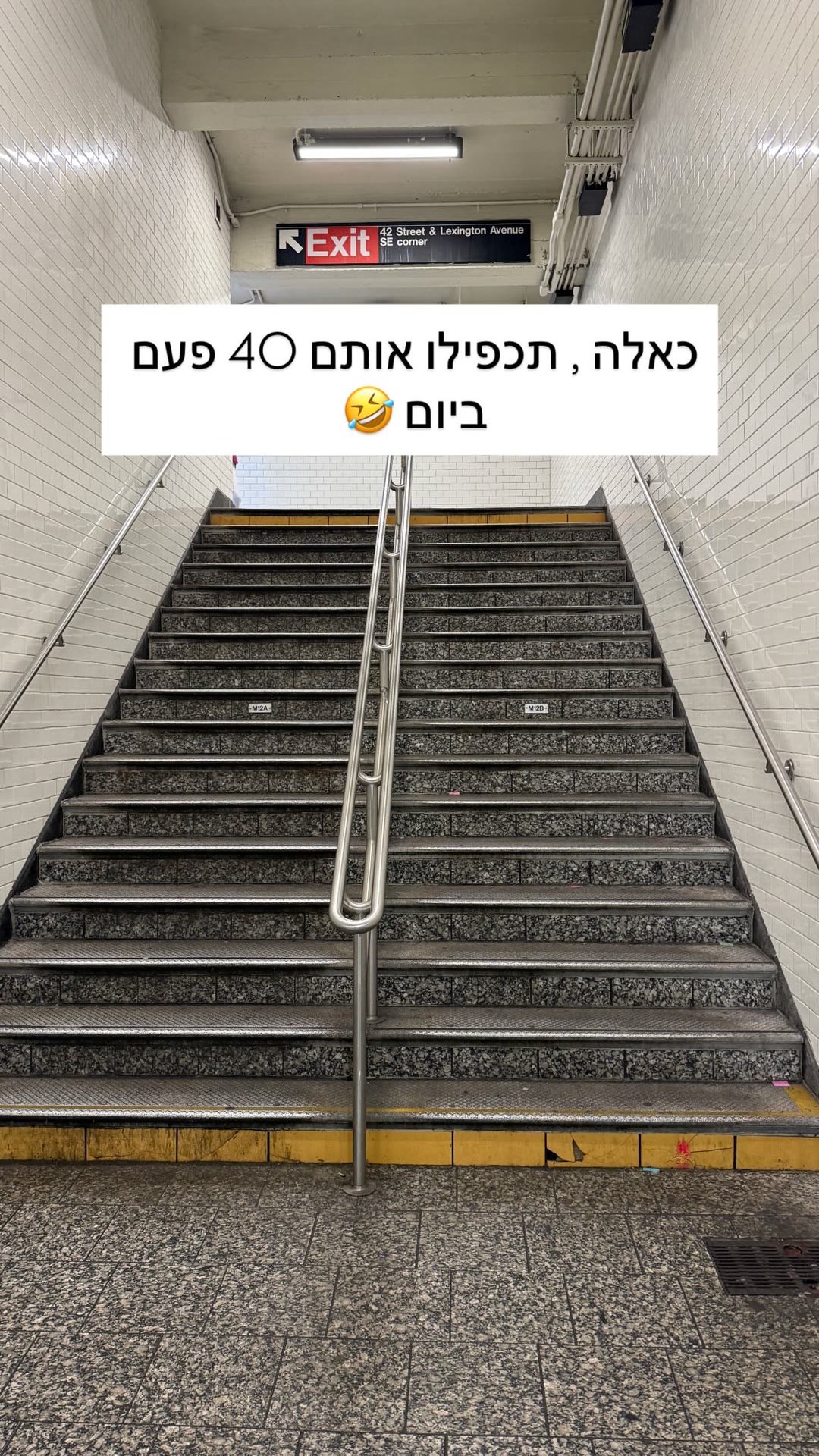 Subway stairs at 42nd St & Lexington, NYC