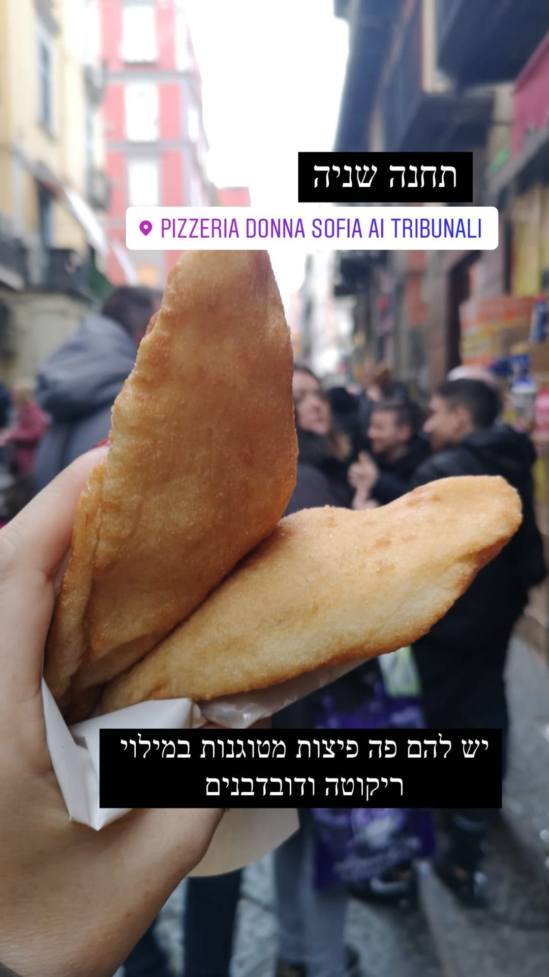 פיצה מטוגנת ב-Pizzeria Donna Sofia ai Tribunali