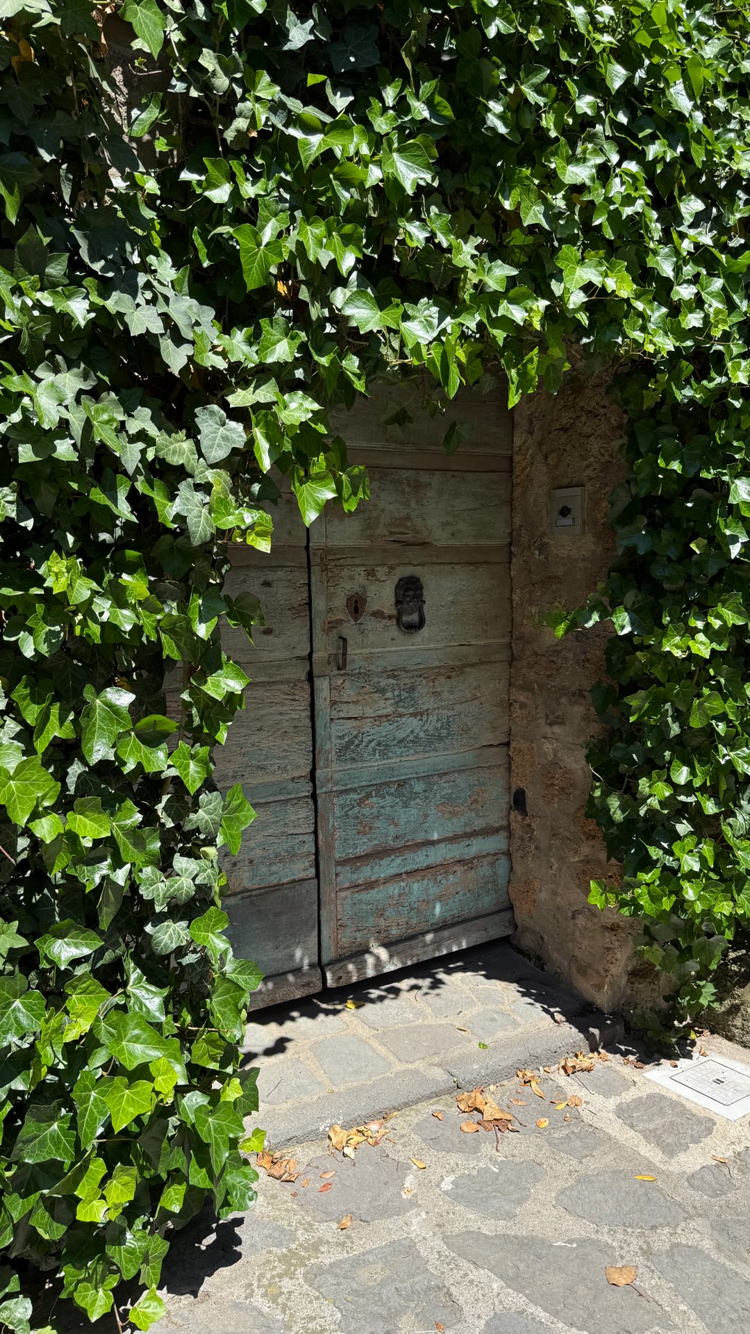 Ivy-covered door in a hill town near Rome