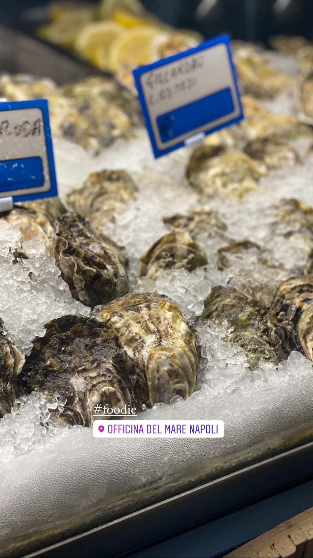 Fresh oysters at Officina del Mare, Naples