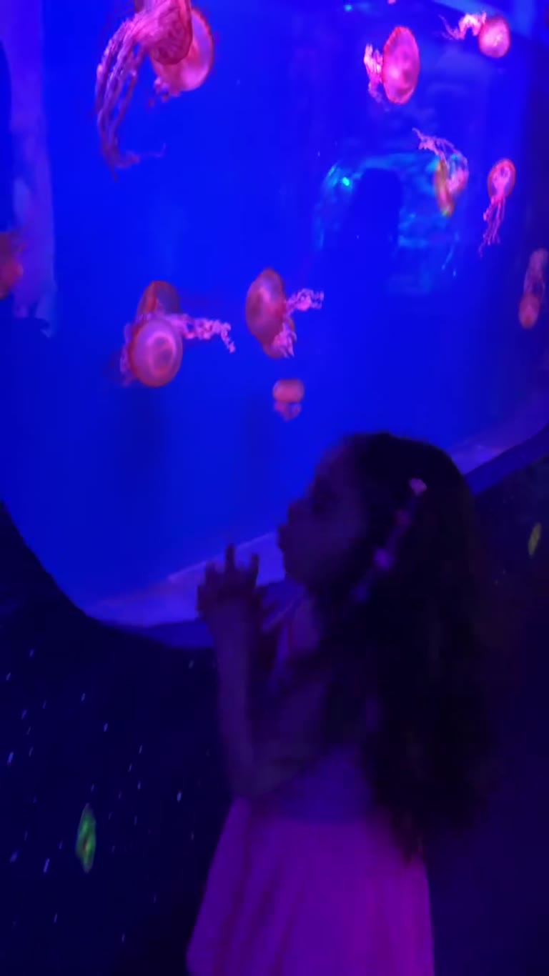 Jellyfish tank at a Bangkok aquarium