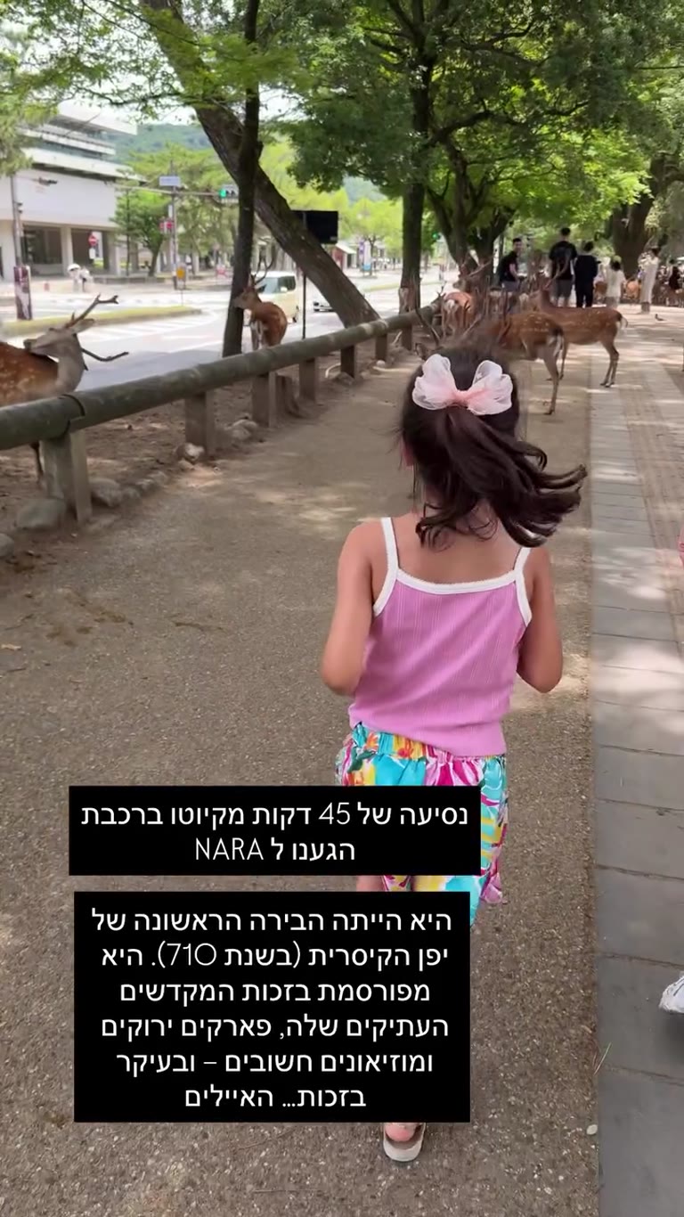 יום בנארה – האיילים במרחק 45 דקות מקיוטו