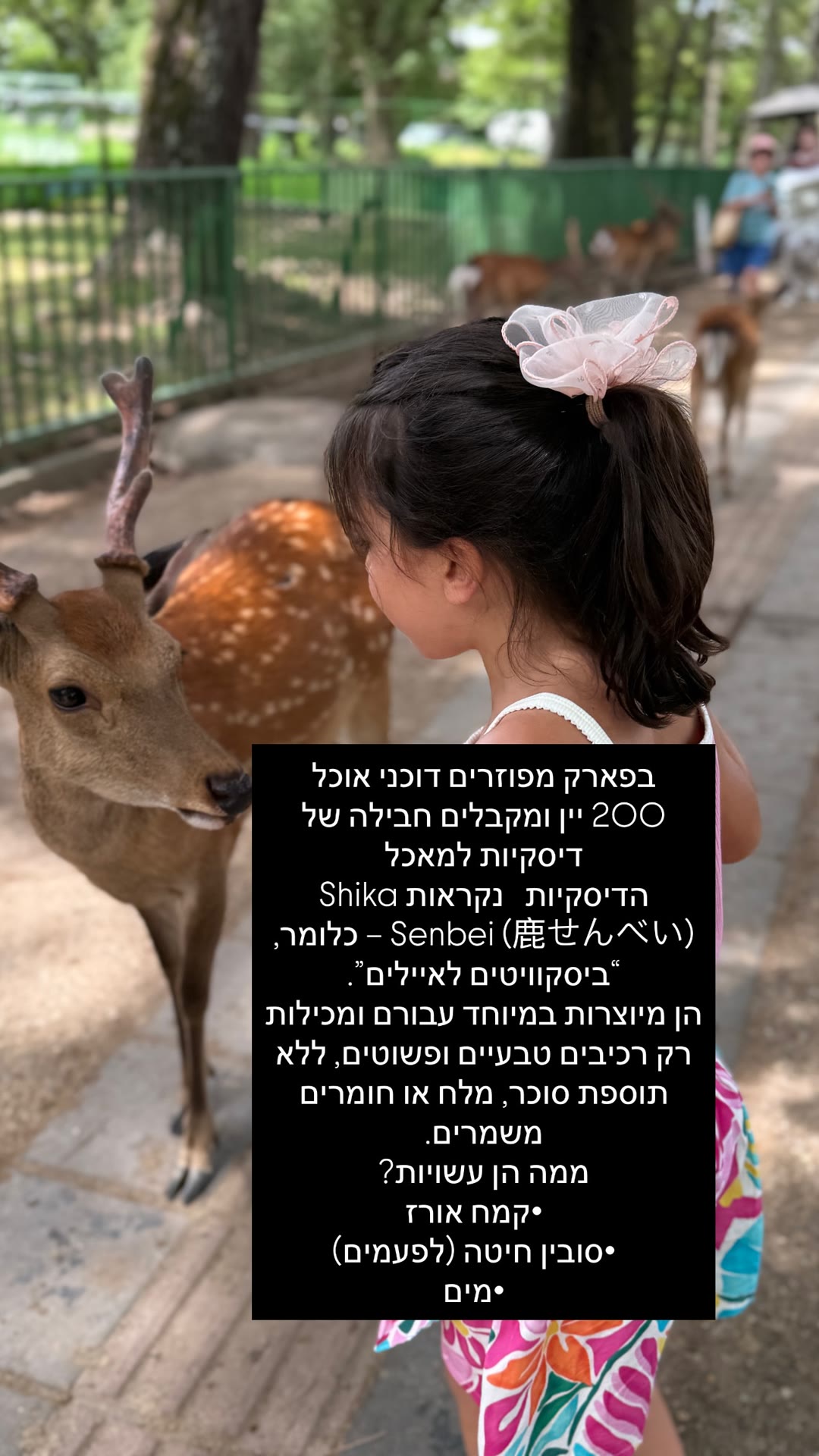 האכלת האיילים בפארק נארה – שיקה סנבּיי ב-200 יין