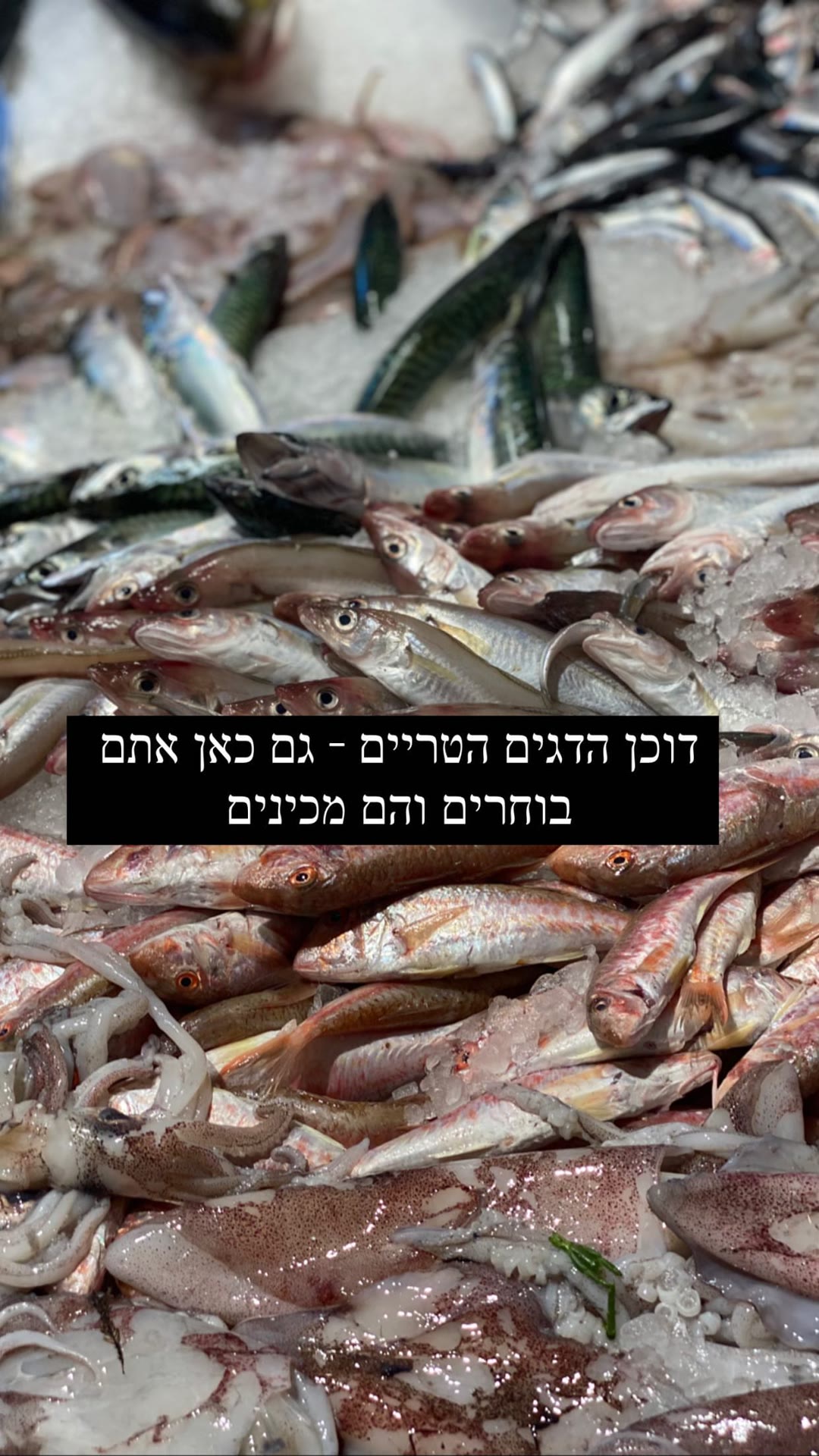 דוכן הדגים הטריים במרקטו צ'נטרלה מילאנו