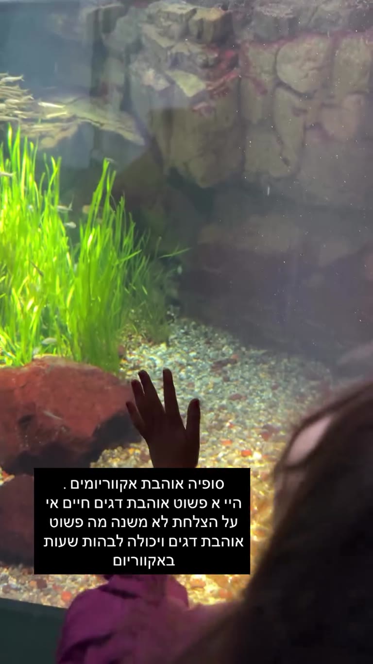 סופיה באקווריום באוסקה