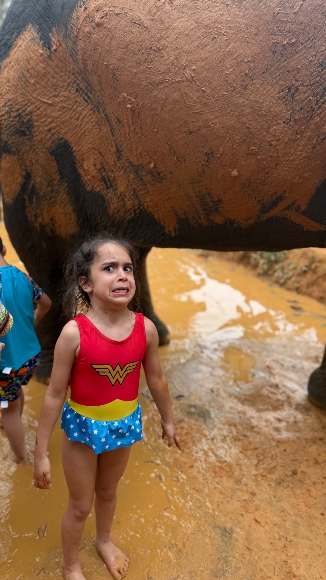 Elephant mud bath in Phuket