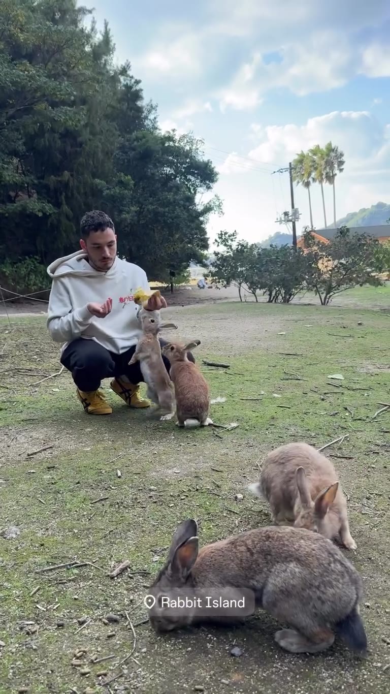 Feeding the bunnies on Okunoshima (Rabbit Island)