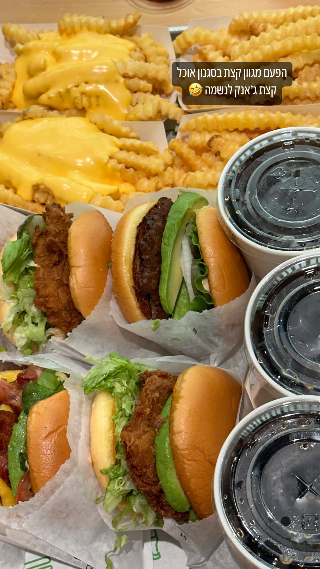 Junk food run — Shake Shack burgers in Japan