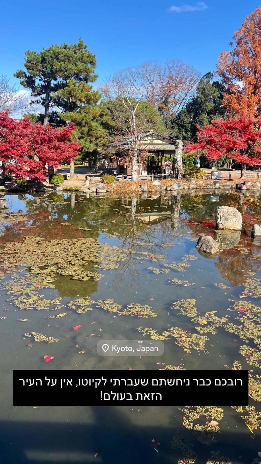 Kyoto in autumn — "no city like it"