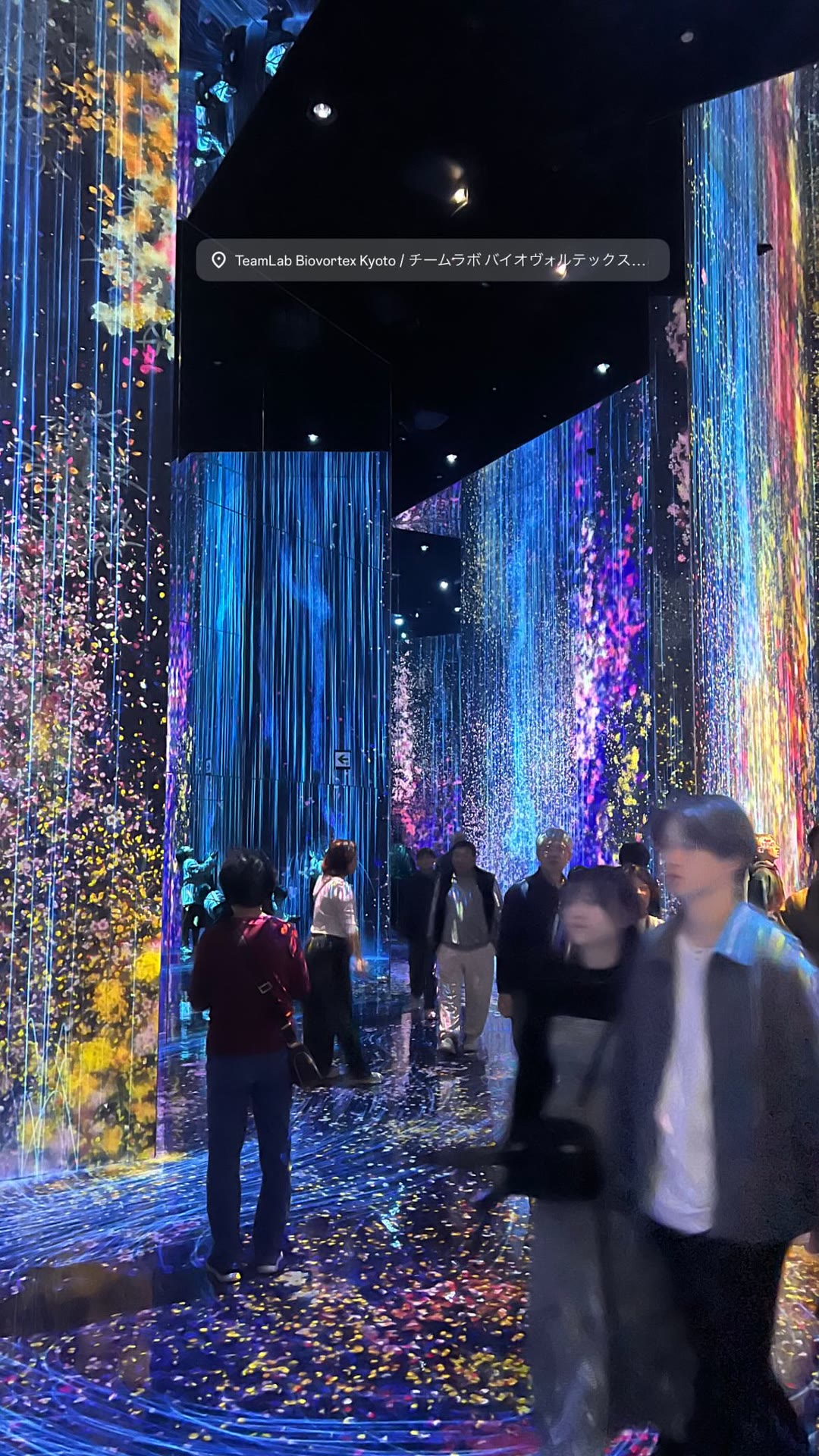 teamLab Biovortex Kyoto