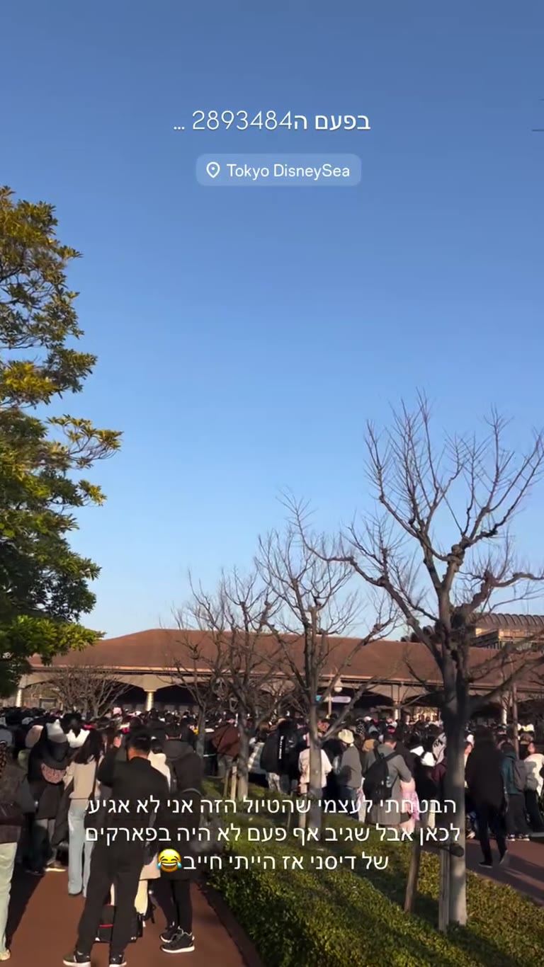 Tokyo DisneySea crowds, again