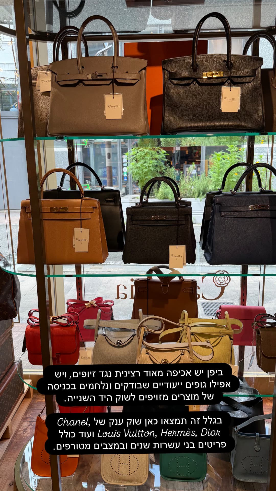 שוק יד שנייה של מותגי יוקרה ביפן – Camellia