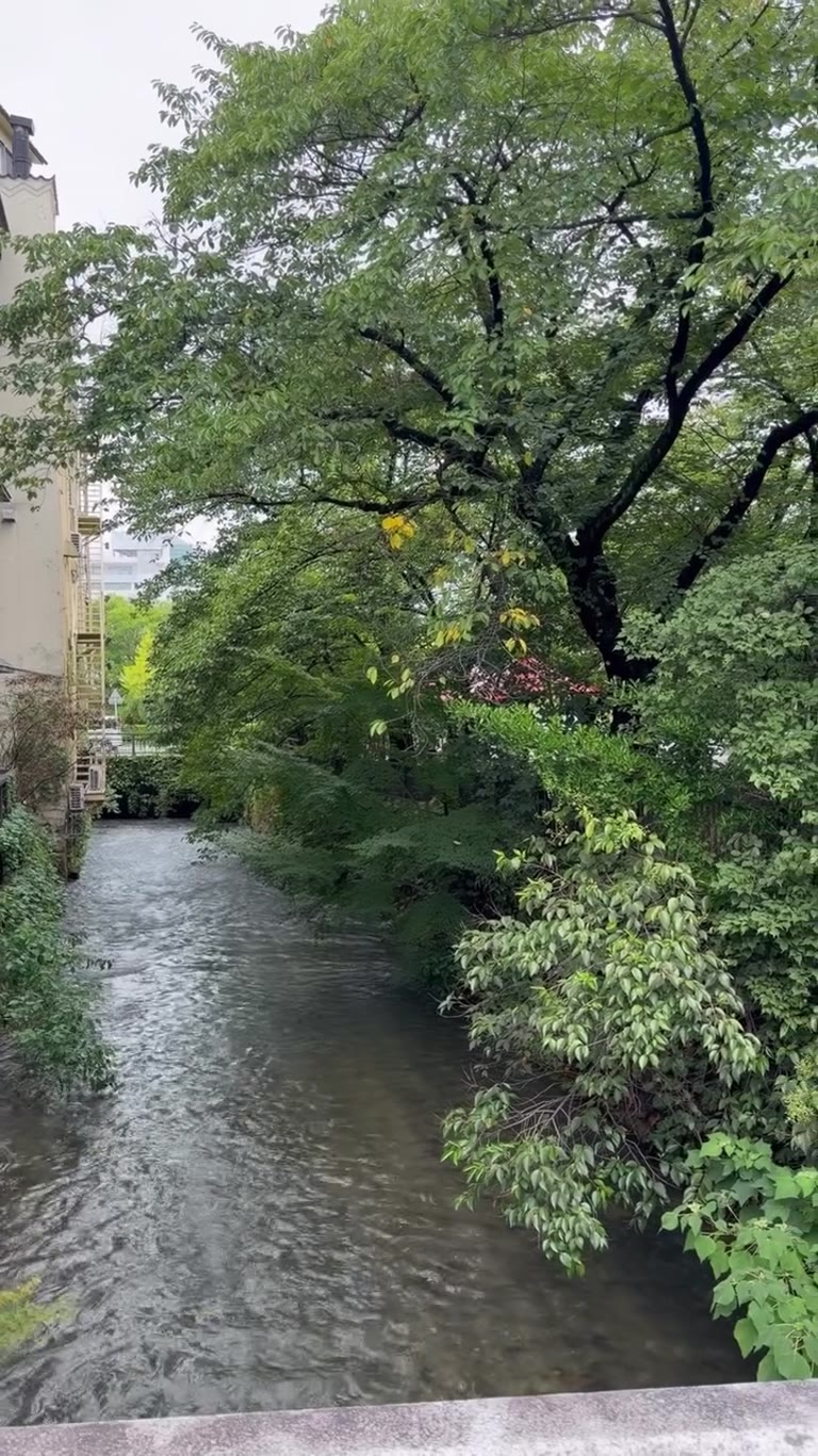 Quiet tree-lined canal in Japan