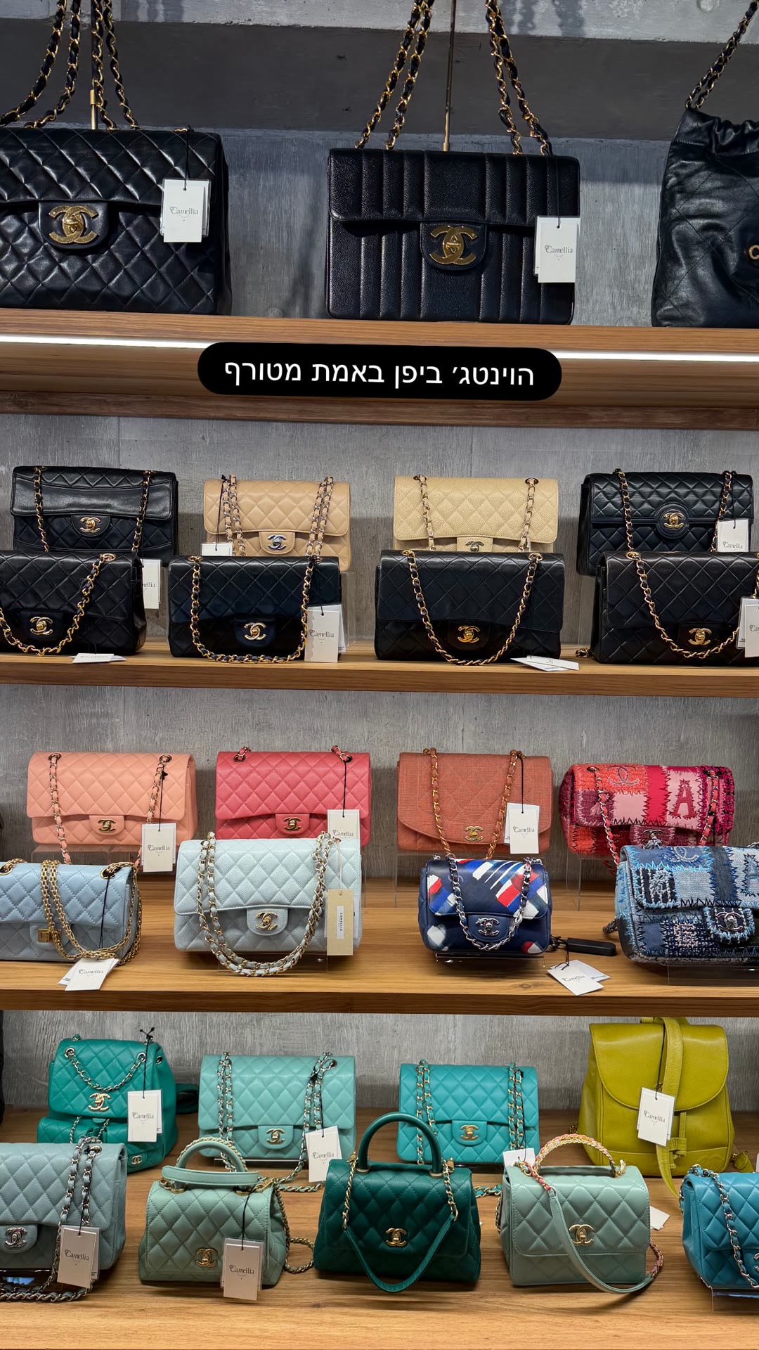 חנות הוינטג' Camellia ביפן — תיקי שאנל