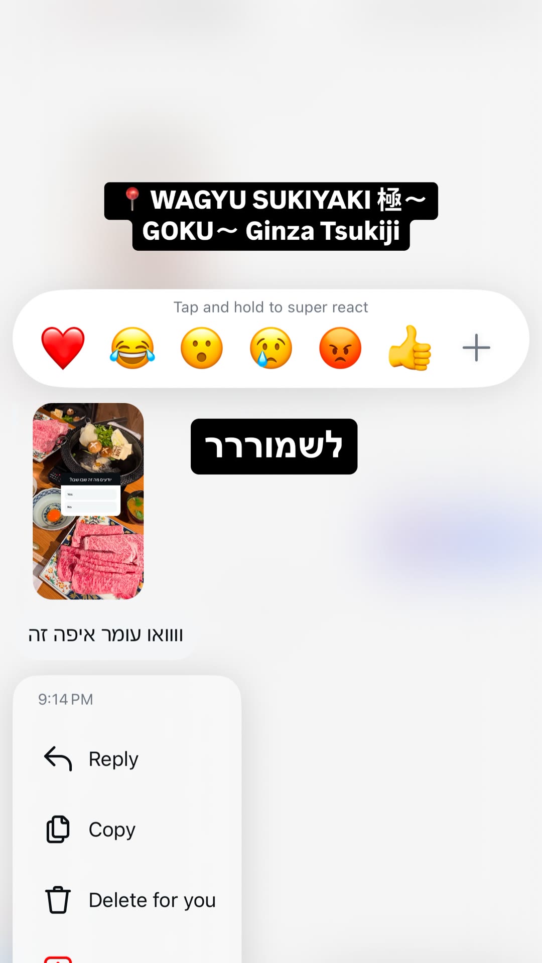Wagyu Sukiyaki 極〜GOKU〜 Ginza Tsukiji, Tokyo