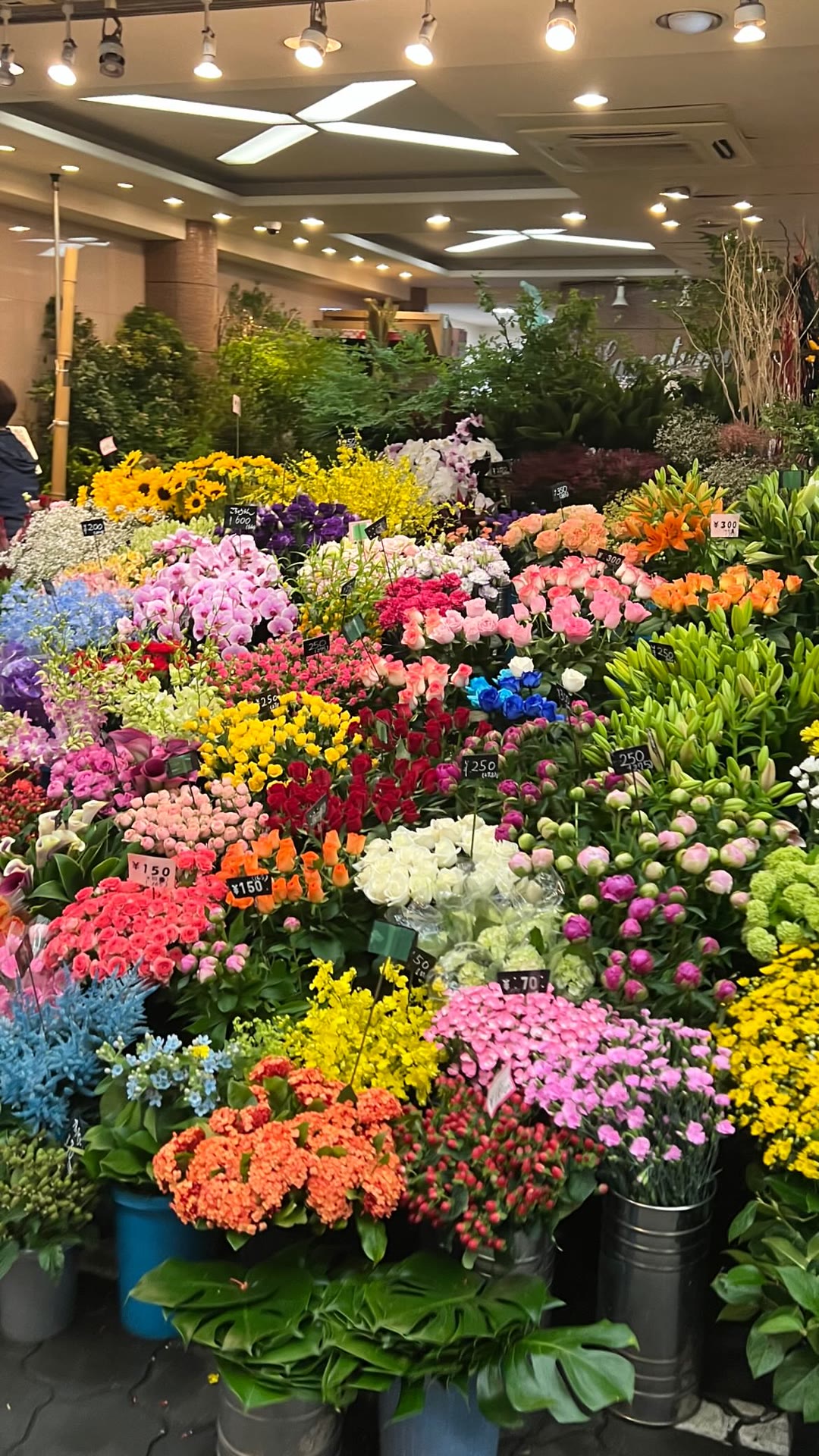 Flower shop bursting with color in Osaka