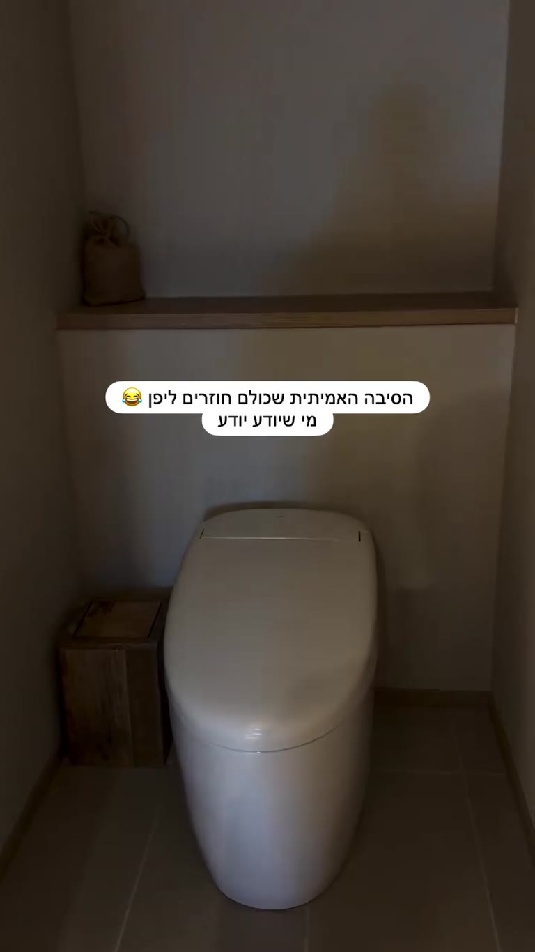 האסלות היפניות - הסיבה לחזור ליפן