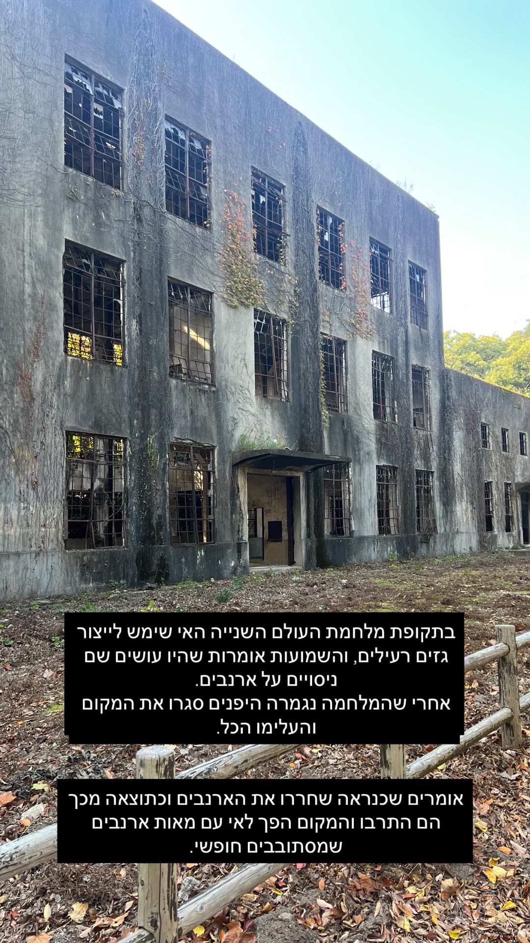 אוקונושימה – אי הארנבים ומפעל הגז הרעיל