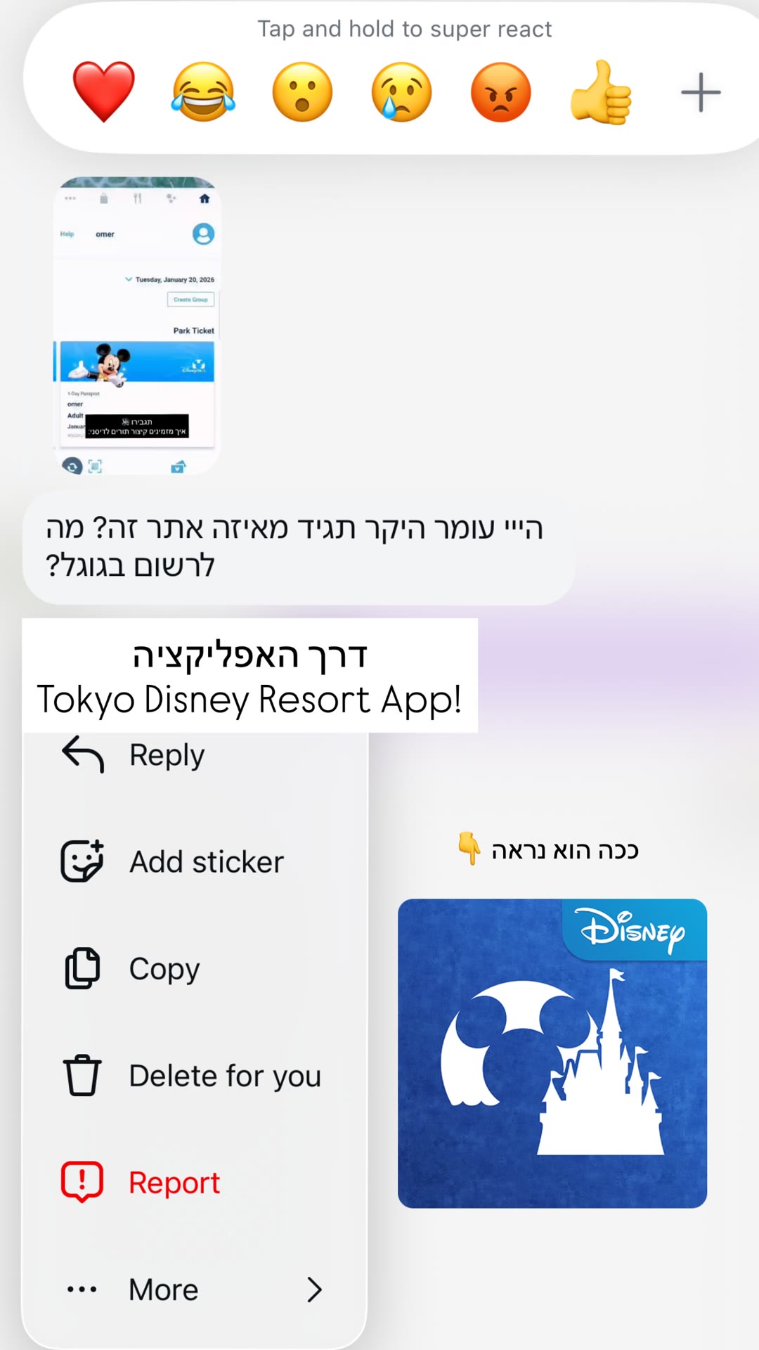 איך קונים כרטיסים לטוקיו דיסני – דרך האפליקציה