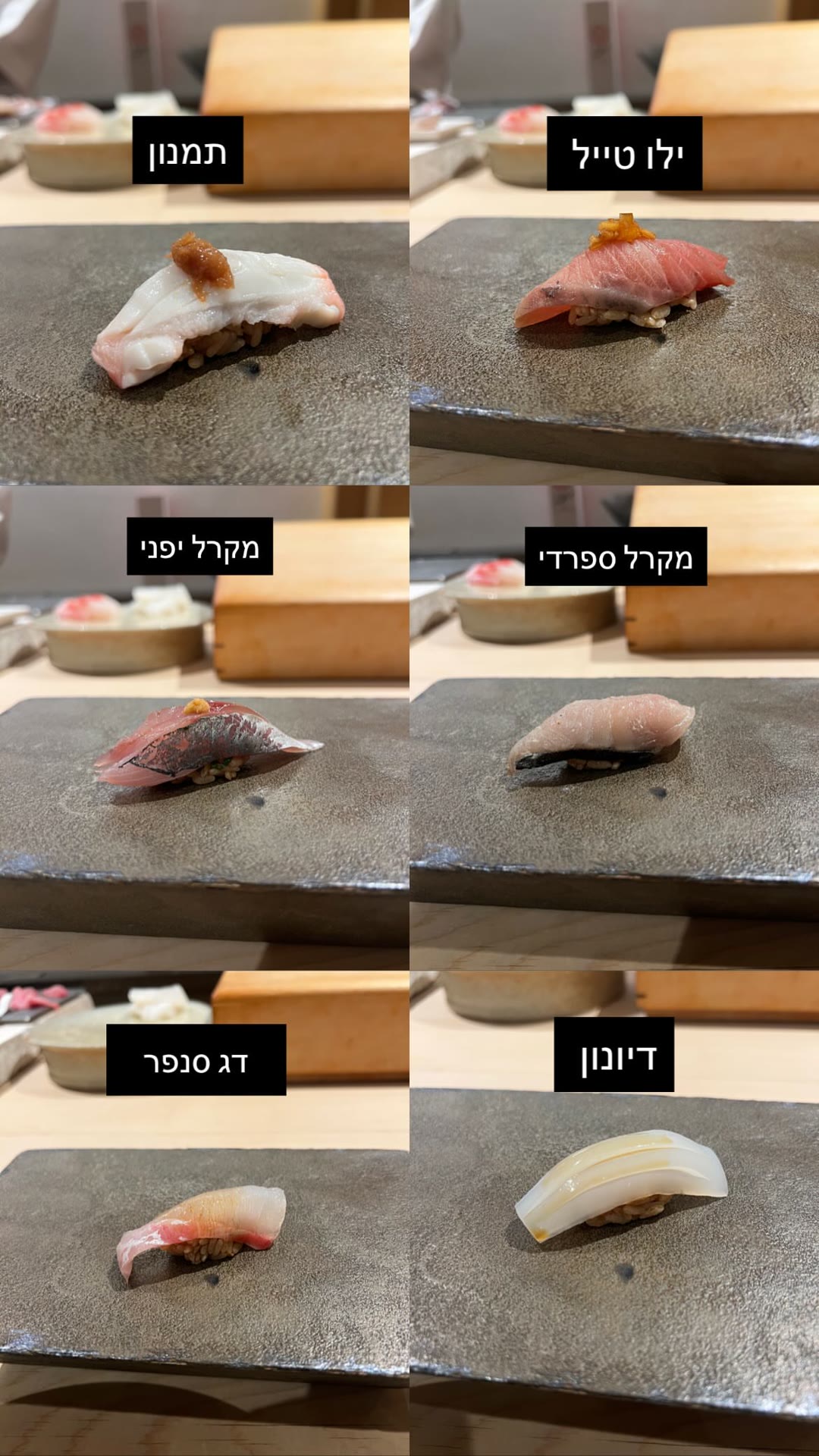 Omakase sushi course in Tokyo