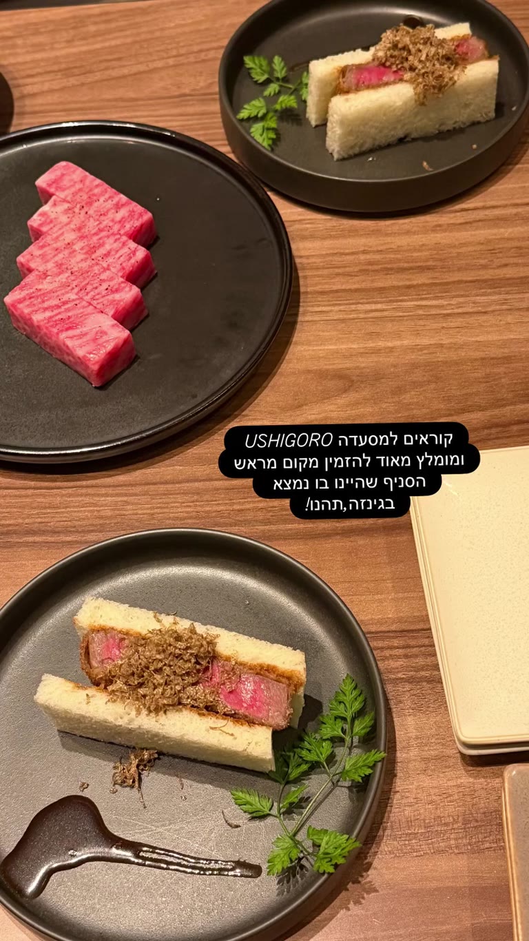Ushigoro wagyu in Ginza, Tokyo