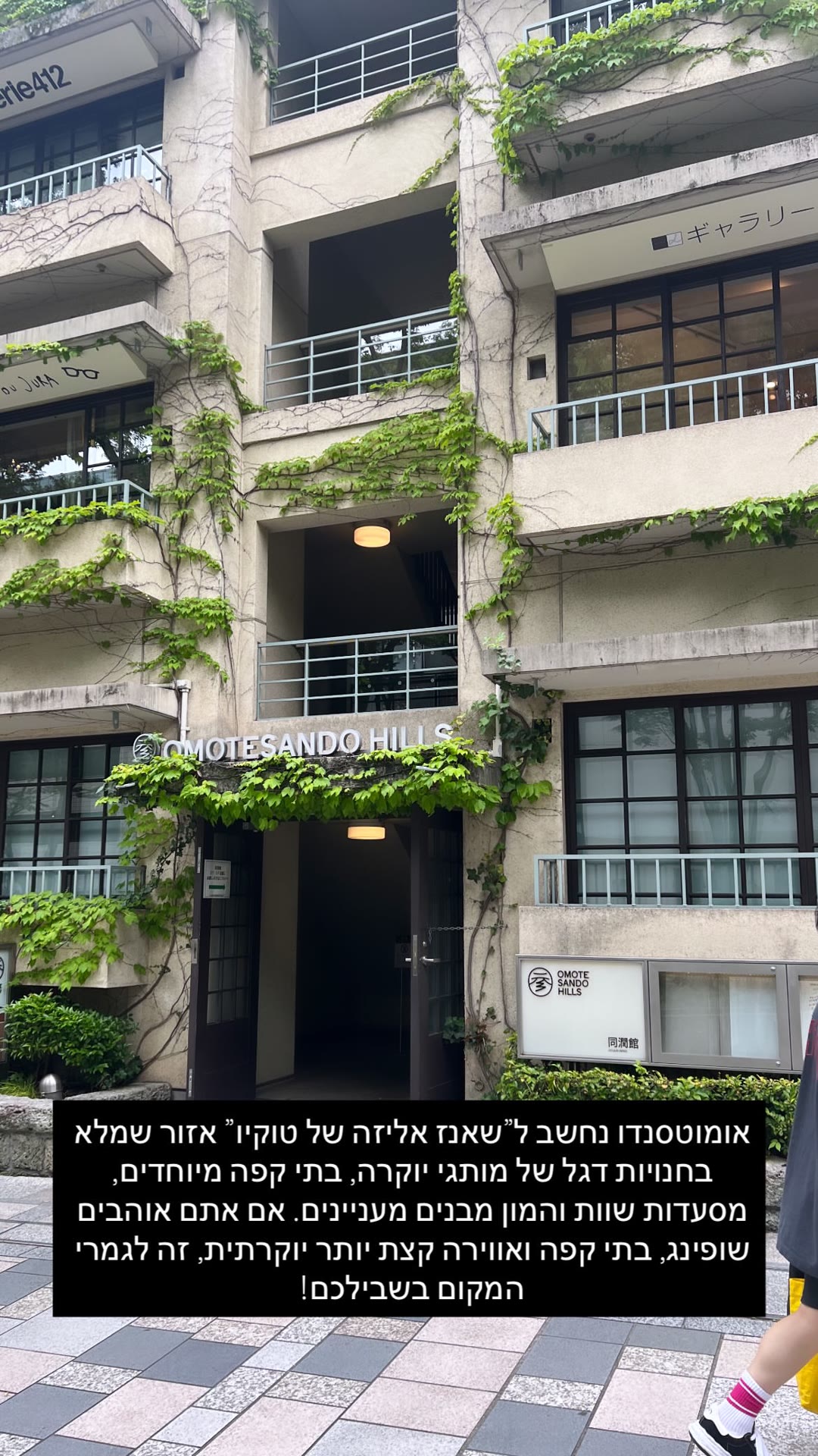 אומוטסנדו – ה"שאנז אליזה" של טוקיו