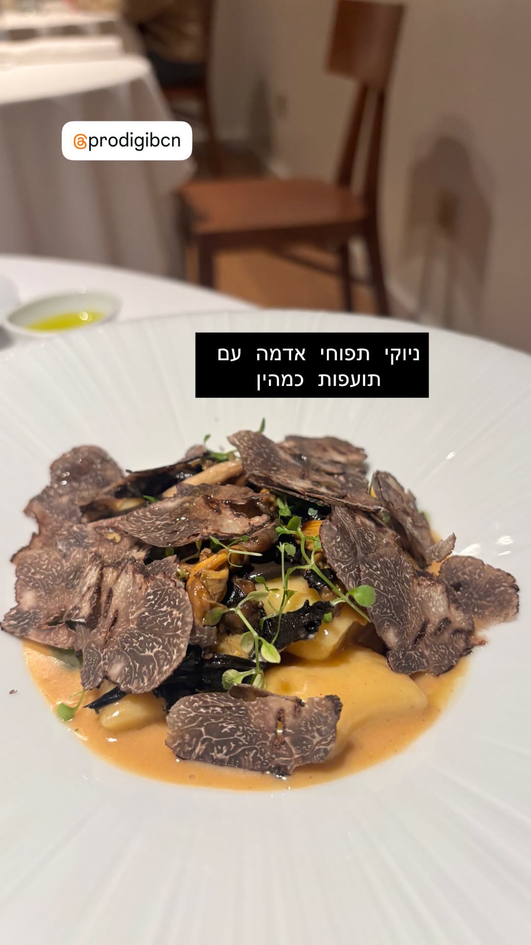 ניוקי כמהין ב-Prodigi, ברצלונה