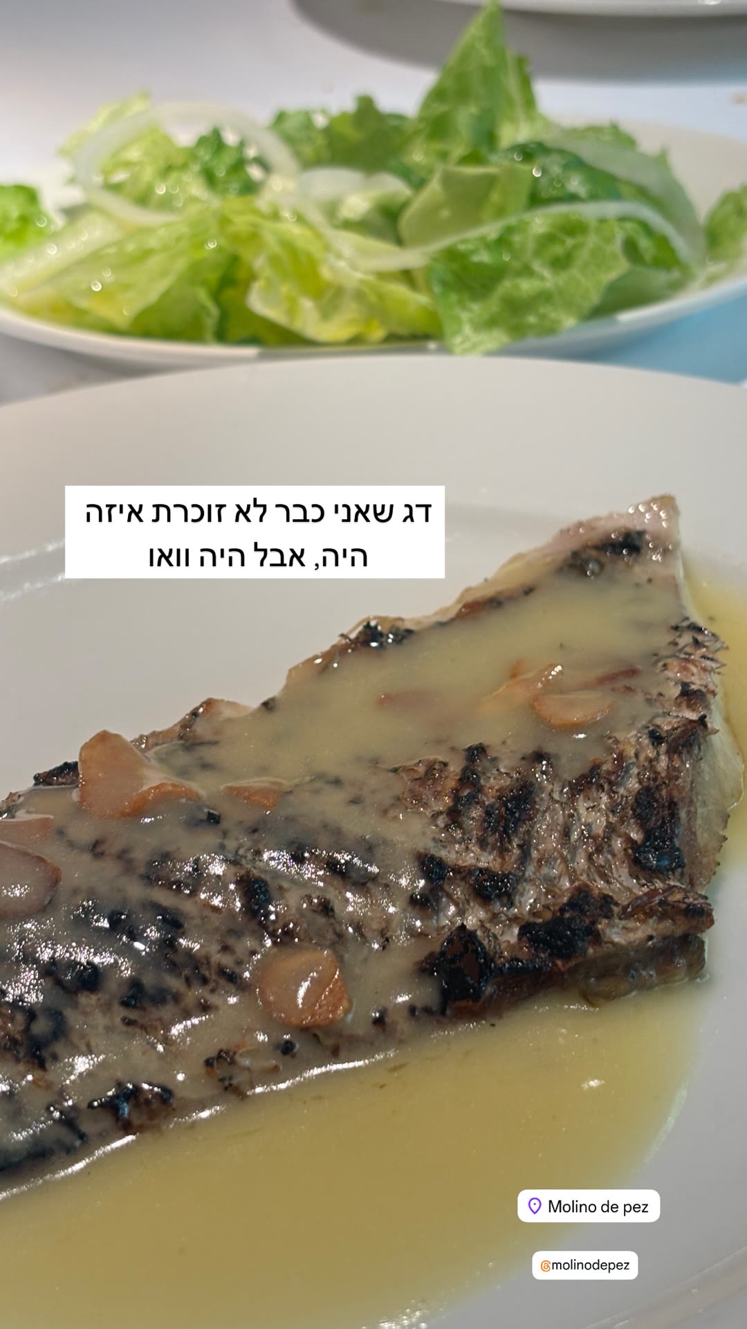 Molino de Pez – דג מושלם בברצלונה