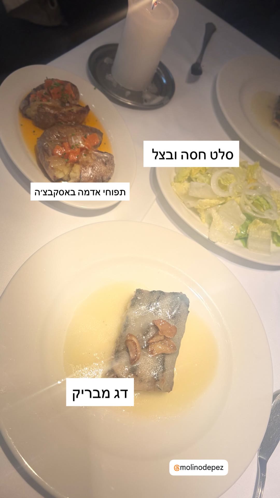Molino de Pez – דגים בברצלונה