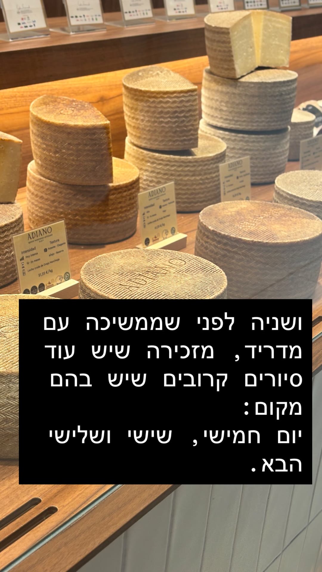 חנות גבינות מנצ'גו במדריד + סיורים