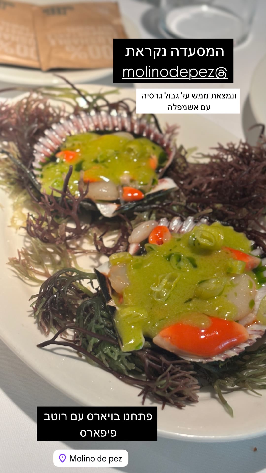Molino de Pez — vieiras with piparras in Barcelona