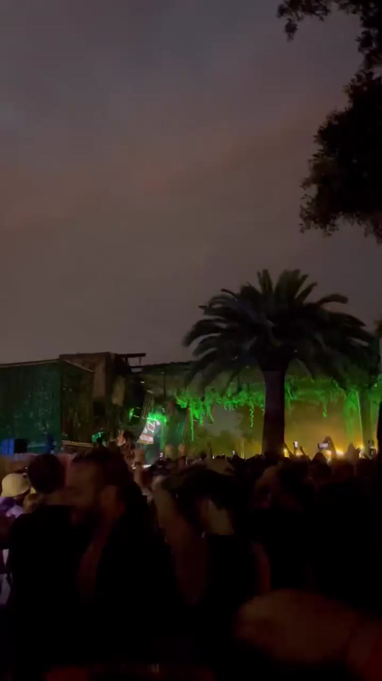 Open-air night party under the palms