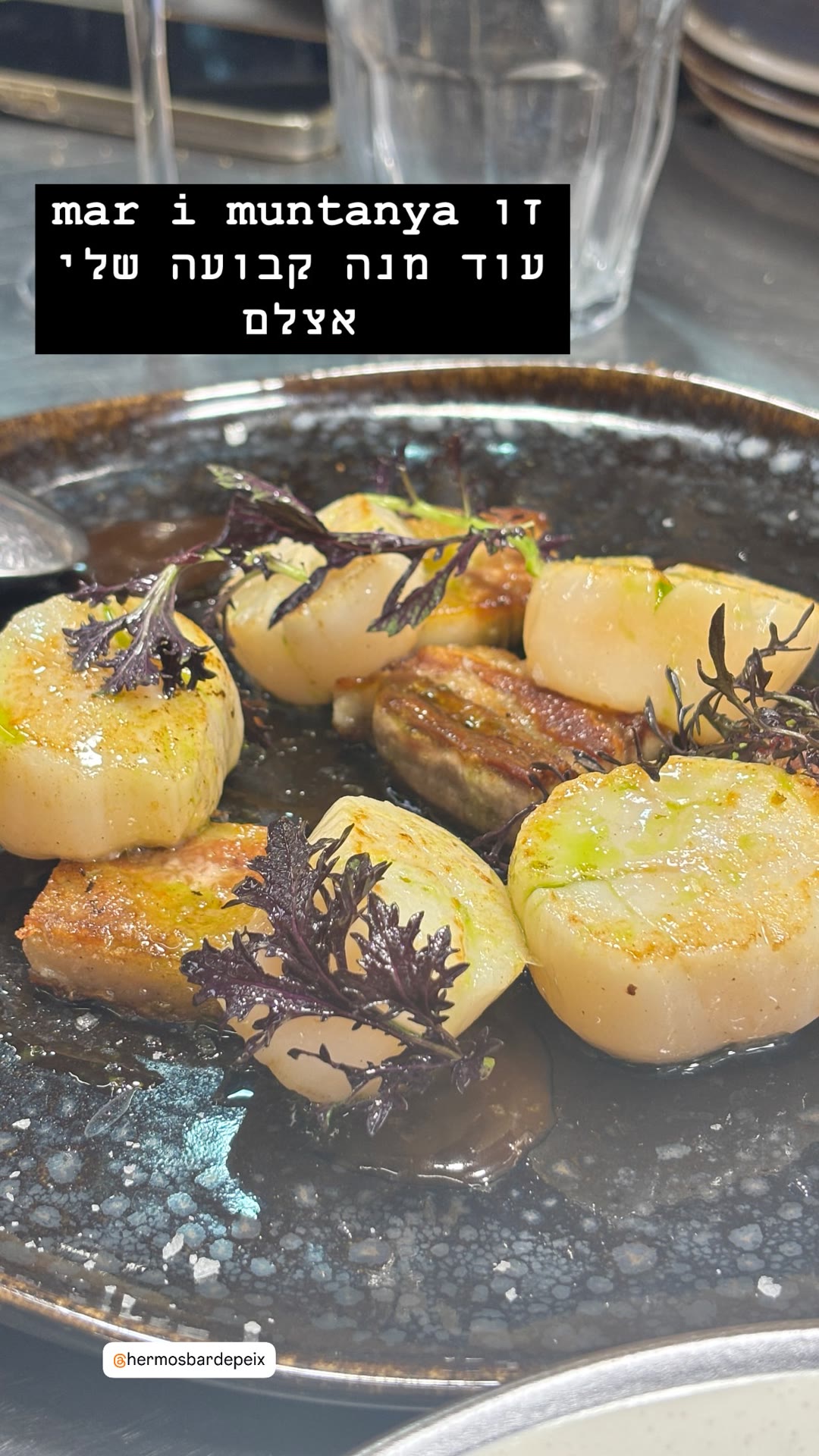 Mar i muntanya scallops at Hermós, Barcelona