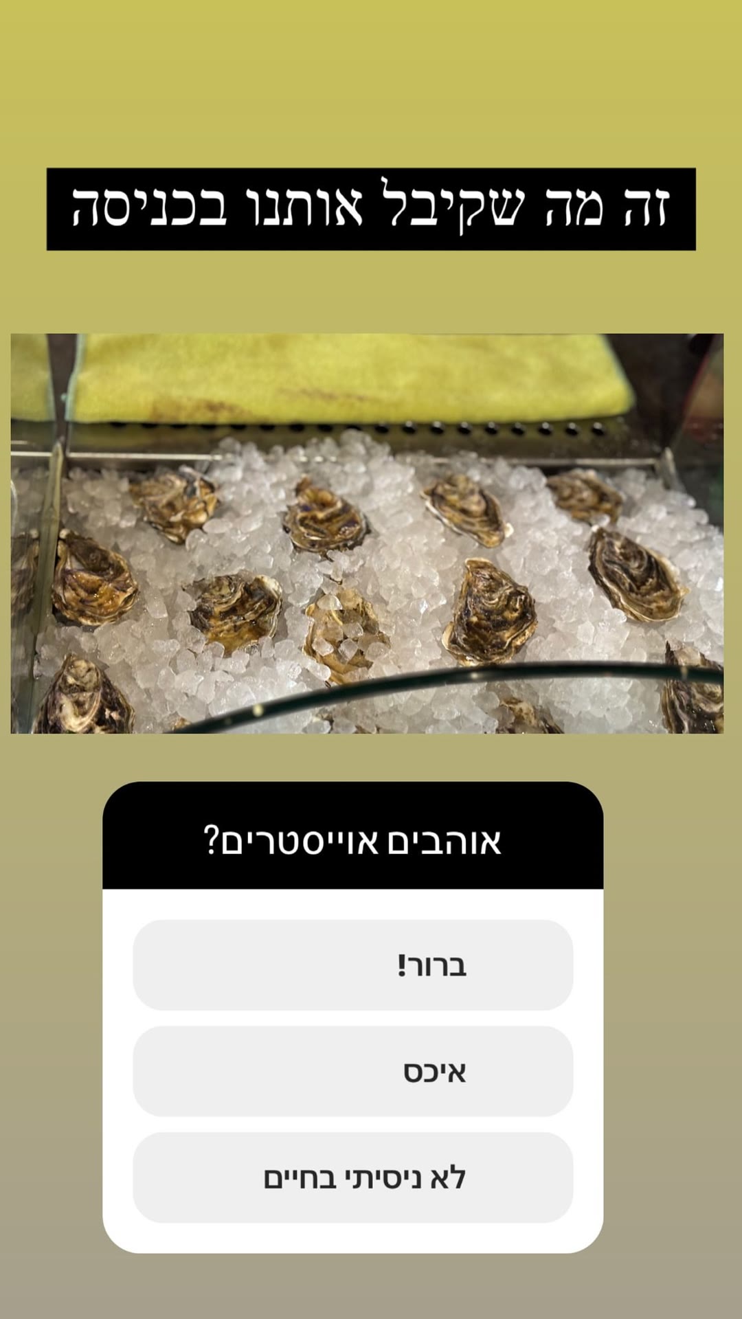 אויסטרים לקבלת פנים במסעדה בברצלונה