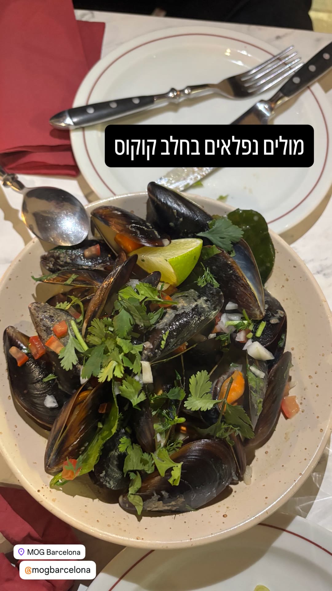 מולים בחלב קוקוס ב-MOG Barcelona