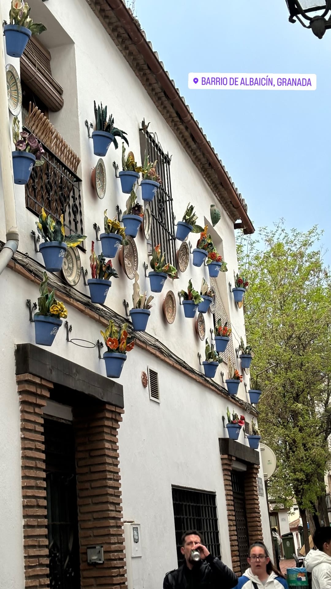 Flower-pot walls in Granada's Albaicín
