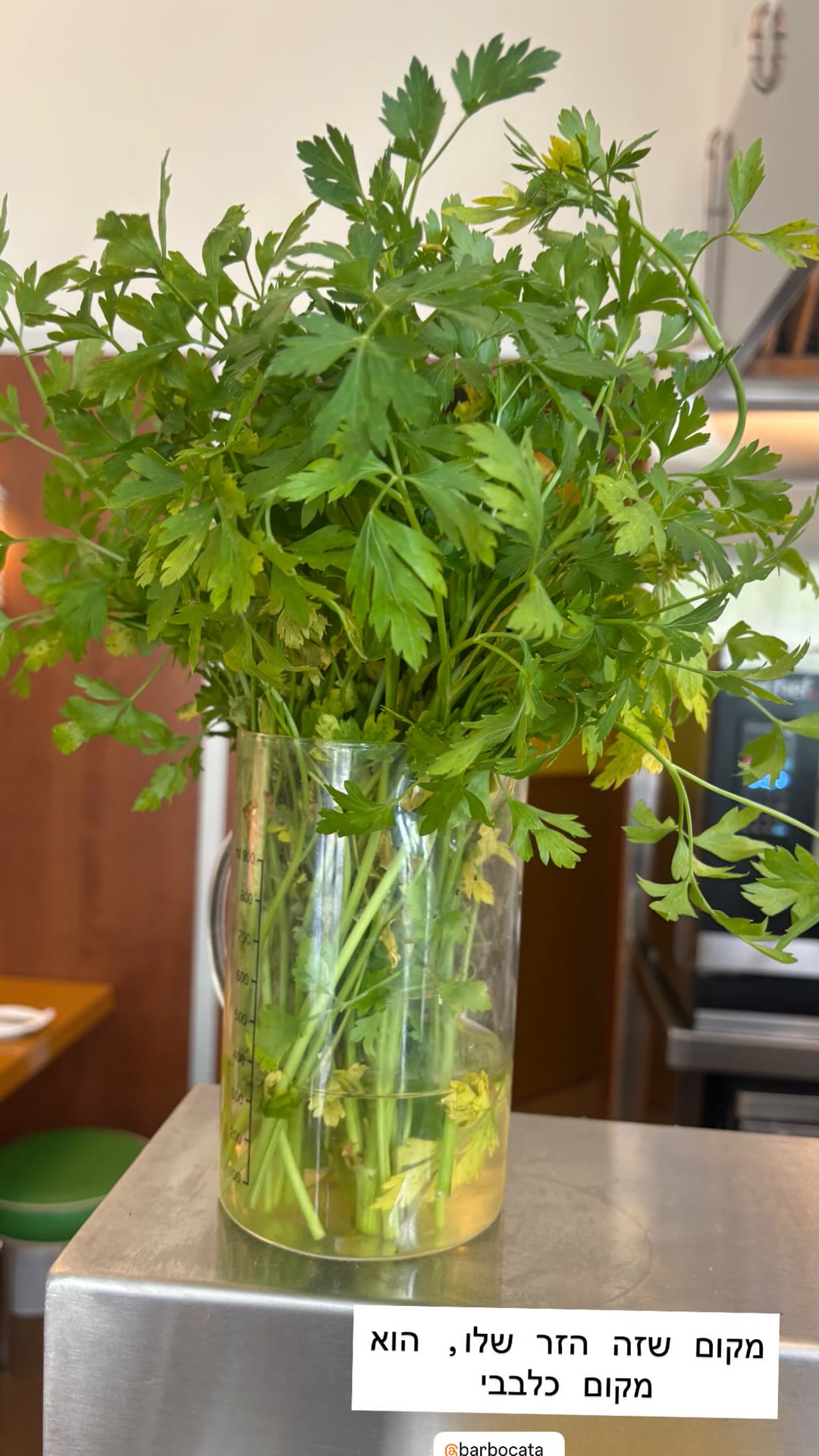 Bar Bocata, Barcelona – the parsley bouquet