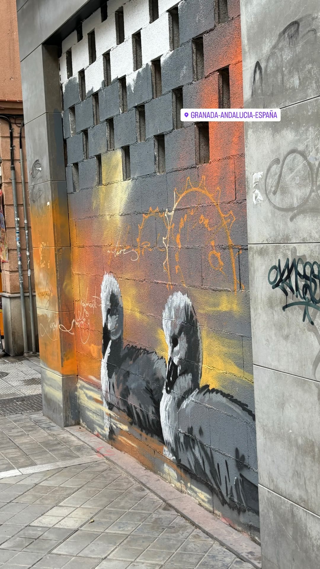Street art swans on a Granada wall