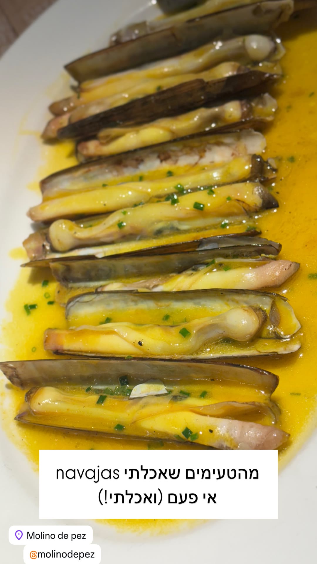 Navajas at Molino de Pez, Barcelona